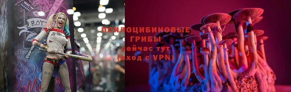 амф Алзамай