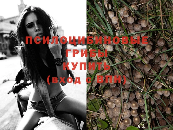 ГАЛЛЮЦИНОГЕННЫЕ ГРИБЫ Абинск